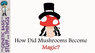 How did mushrooms become magic? The evolution of hallucinogenic Agaricomycetes