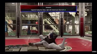 Fighting Game Martial Arts Judo