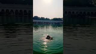 #shorts #banglasahib