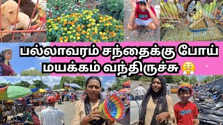 பல்லாவரம் சந்தை // pallavaram Friday market // A to Z all new&old products #pallavarammarket #vlog