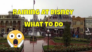 Disney World  What To Do When It Rains