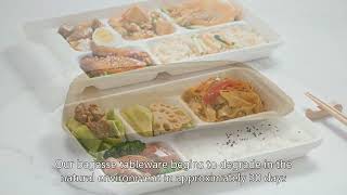 bagasse packaging,bagasse bowl,Compostable Takeout Containers,Best,China Supplier