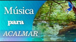 💦  Som de Rio + Música para Acalmar | Relaxar  💆