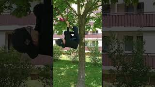 mój kumpel chyba jest Spider-Manem?!? #spiderman #tree #song #music #xd #aha #lol #freand