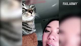 Komik Kedi Hataları - Komik Kedi Derlemesi - Başarısız Kedi Videoları! 🐾😂