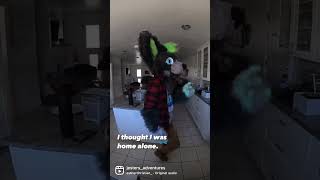 All | wanted was some snacks! #furry #furryfandom #furries #fursuit #fursona #memes #tiktok