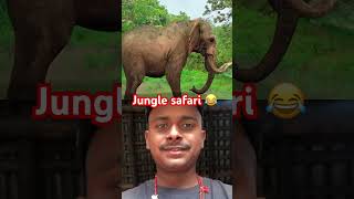 jungal safari 😂