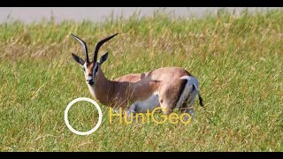 Hunting in Tanzania  -  Masai - Lake Natron