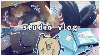 new audio stuff & new rats !【studio vlog】