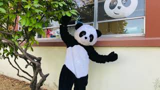 Coco Panda Art Challenge (Español)