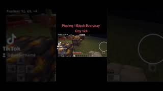 Placing 1 Block In Minecraft Everyday Day 124