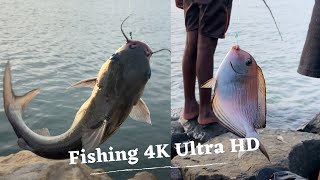 4K Ultra HD | Fishing Near Sea Shore Rocks - Free Stock Footage