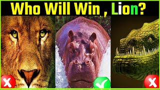 👑 Lion vs Crocodile vs Hippo - Who Would Win? Who is the King in River?