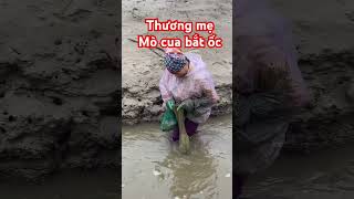 Thương mẹ cảnh mò cua bắt ốc #khampha #fishing #dulich #mientay #tintuc #shortvideo