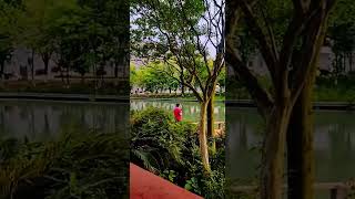 Chengdu university of TCM #shortvideo #share #like #nature