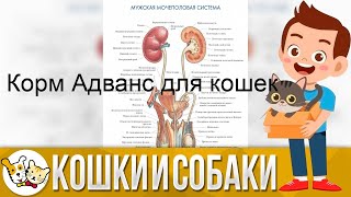 Липучка для одежды: что бы мы без нее делали?