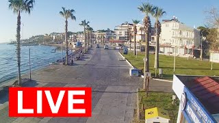 Didim Live camera. Altinkum Beach 03.01.2024 #didim #turkey #livestream #wether