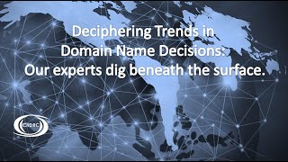 Deciphering Trends in Domain Name Decisions: Our experts dig beneath the surface