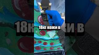 Случайные факты #факты