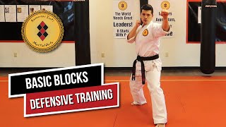 Basic Martial Arts Blocks for Beginner Self Defense