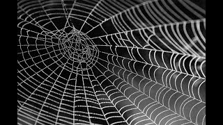 The Spider's Web, das Spinnennetz, das geheime Imperium