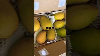 Banganapalli Mangos | From #india to #usa | Full video in our channel | #foodvlog #mexican #telugu