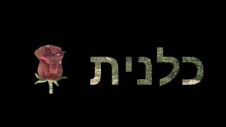 שטח גלילי