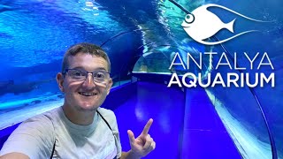 Antalya Aquarium Vlog 2022 - BIGGEST Aquarium Tunnel In The WORLD!