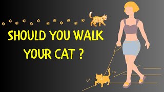 Should You Walk Your Cat ? | To Walk or Not to Walk Your Cat