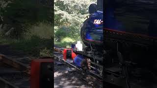 TR No. I "Talyllyn" at Dolgoch