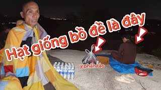 Đêm nay chính thức sư nhỏ ở đây cùng tu học với Sư Tâm Quán rất vui mừng hạt giống đã nảy mầm