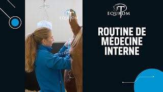 ROUTINE DE MÉDECINE INTERNE