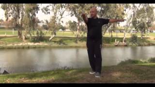 Yi Quan Dragon Fly flipping over the water אמיר ניסן אי צ'ואן שפרירית