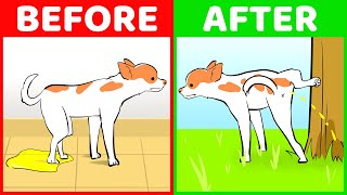 How To Train Your Dog To Pee Outside (And 9 Other Dog Hacks Explained)