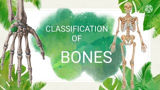 CLASSIFICATION OF BONES