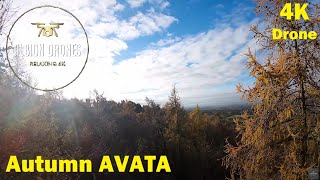 Floating over late autumn canopy, Top Lodge Woods - DJI MINI3 Pro / DJI AIR3 4K