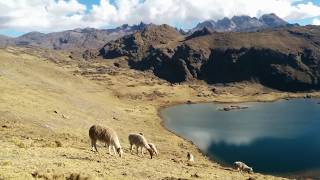 High-Alpine Pass Between Lares & Huacawasi Valley in Peru