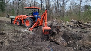 TAKING OUT MORE STUMP