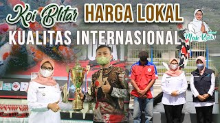 KOI BLITAR, HARGA LOKAL KUALITAS INTERNASIONAL | DESA SUMBERINGIN - KECAMATAN SANANKULON