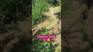 Köyümde patika yol #shorts #video #kısavideo