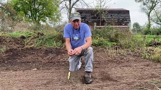 Garlic Planting Time