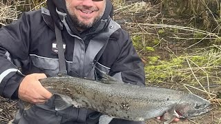 A couple catches of my recent trip to Oswego river