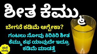 ಶೀತ ಕೆಮ್ಮು ಗಂಟಲು ನೋವು ಬಿಡದೇ ಕಾಡ್ತಿದ್ಯಾ?ಇದನ್ನು ಟ್ರೈ ಮಾಡಿ| Home Remedy for Cold Cough Throat Infection