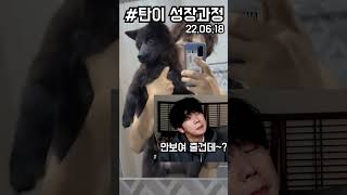 이젠 들지도 못하겠어ㅋㅋㅋ #shorts