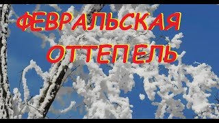 Февральская оттепель