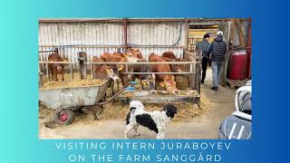 Visit intern at Sanggaard farm • NewWorkers