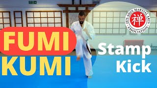 Beginner Karate Guide: Stamp Kick