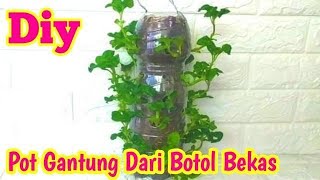 cara membuat pot gantung dari botol bekas #tanaman #potbotolbekas #potgantungbotolbekas #bayambrazil