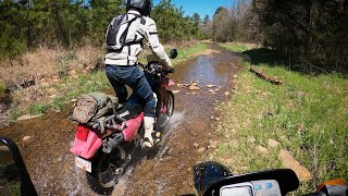 Spring Trail Ride on KLR 650 and DR 200