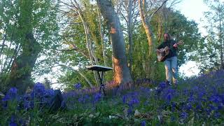 Looping guitar amongst the bluebells at sunset